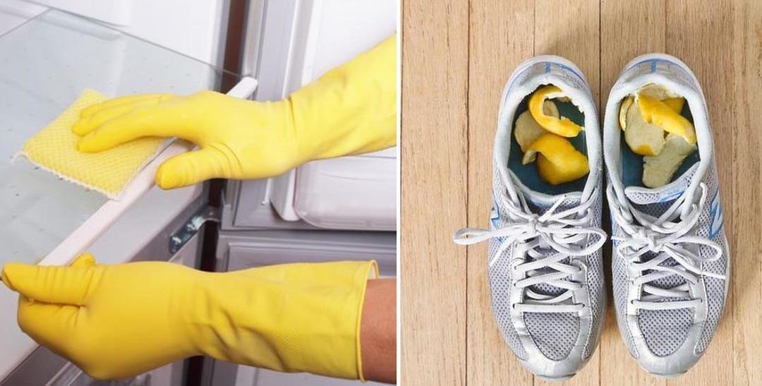 Limonun D&uuml;nyanın En Kullanışlı Şeyi Olduğunun 16 İşe Yarayan Kanıtı