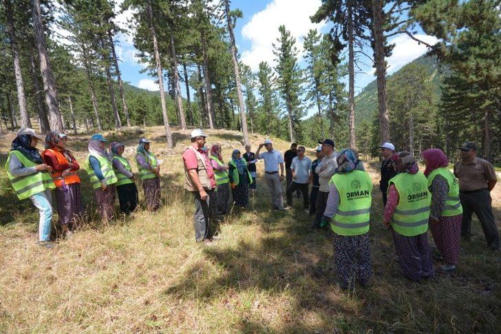 Vali, Emet’te ormancılık faaliyetlerini ve yangın müdahale tedbirlerini inceledi G3