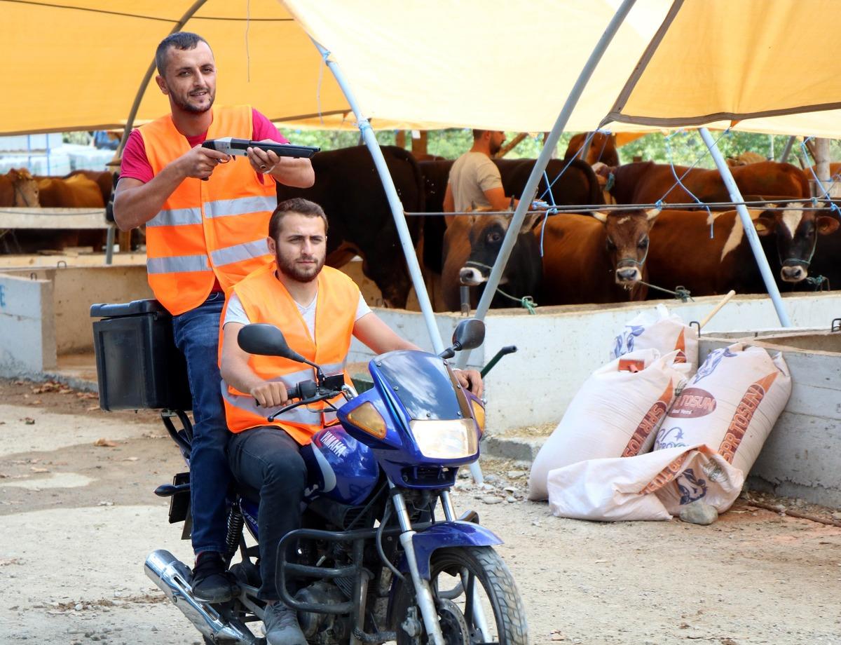 'Boğa Yakalama Timi' kurbana hazır