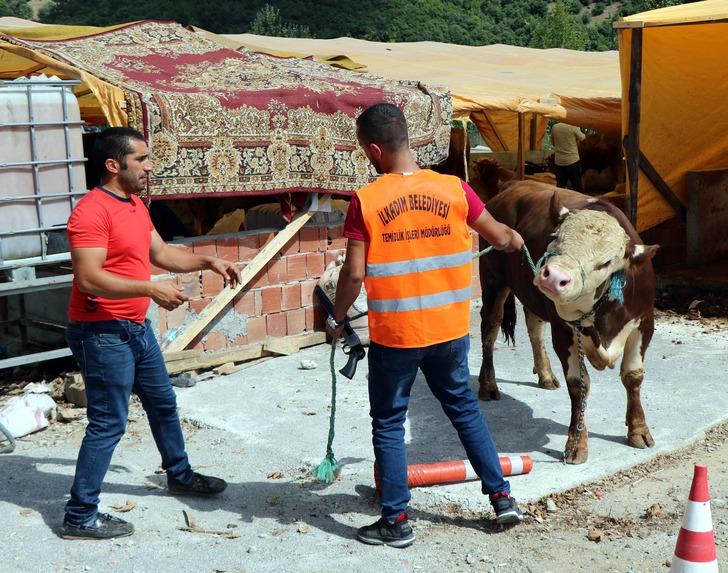 'Boğa Yakalama Timi' kurbana hazır G2