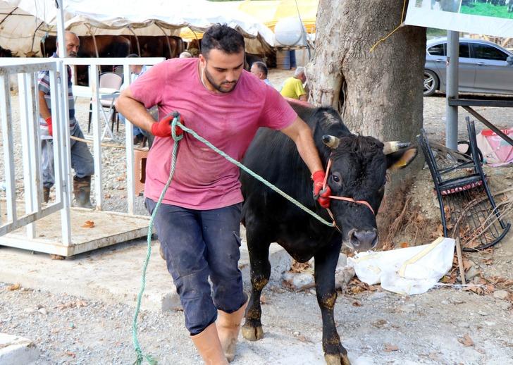 'Boğa Yakalama Timi' kurbana hazır G4