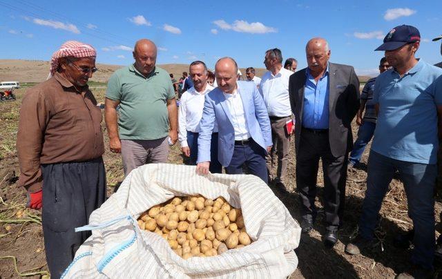 Vali Varol’dan soğan ve patates hasadı yapılan arazilerde inceleme