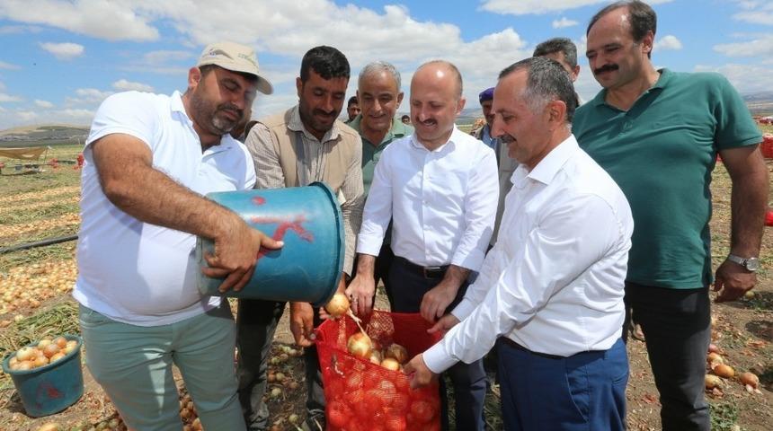 Vali Varol&rsquo;dan soğan ve patates hasadı yapılan arazilerde inceleme