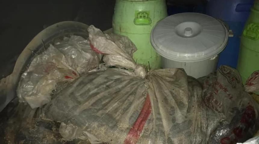 Didim&rsquo;de 500 kilo deniz patlıcanı ele ge&ccedil;irildi