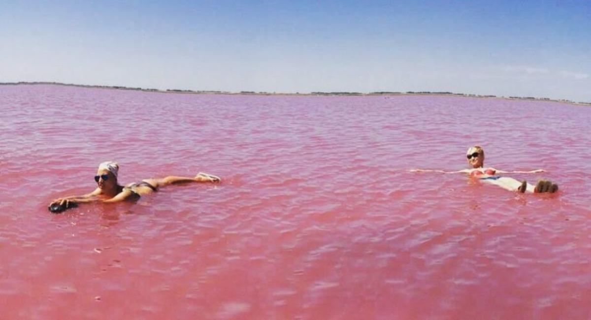 'Kraliyet Tuzluğu' denilen şifalı pembe g&ouml;le akın ettiler!
