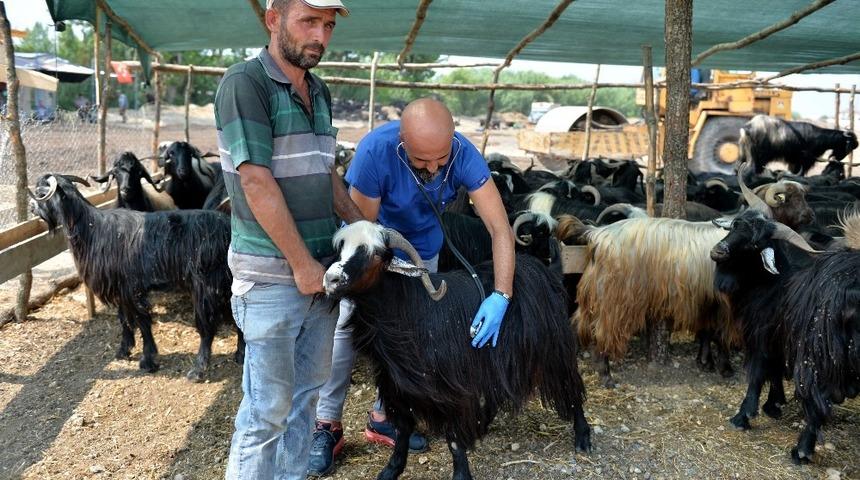 Muratpaşa&rsquo;da bayran hazırlıkları tamamlandı
