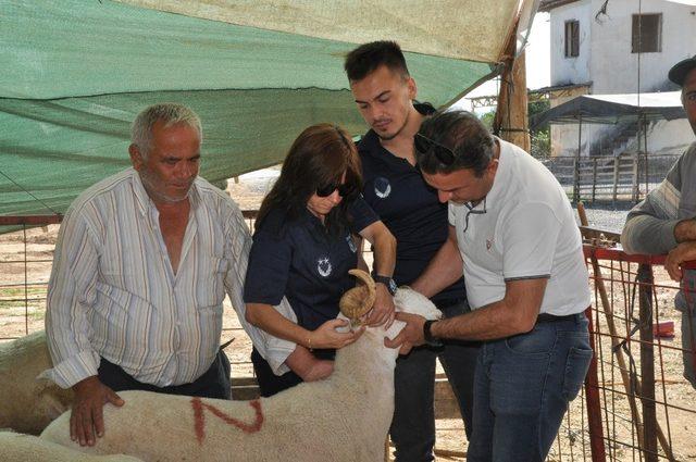 Menderes’te kurban denetimi