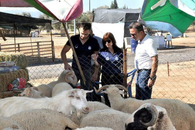 Menderes’te kurban denetimi