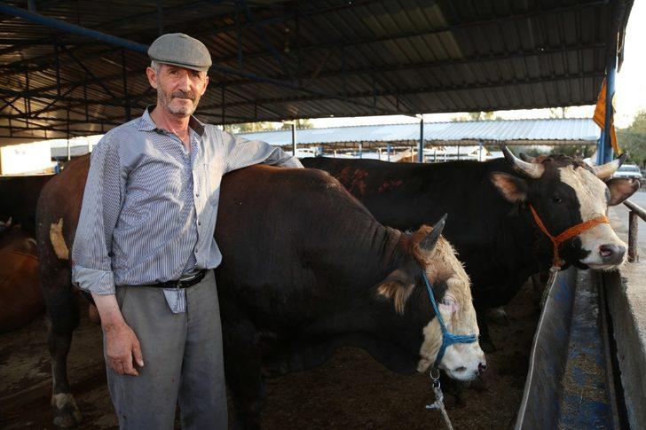 Turgay Erdem kurban pazarında arabulucu oldu G1