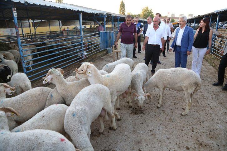 Turgay Erdem kurban pazarında arabulucu oldu G5