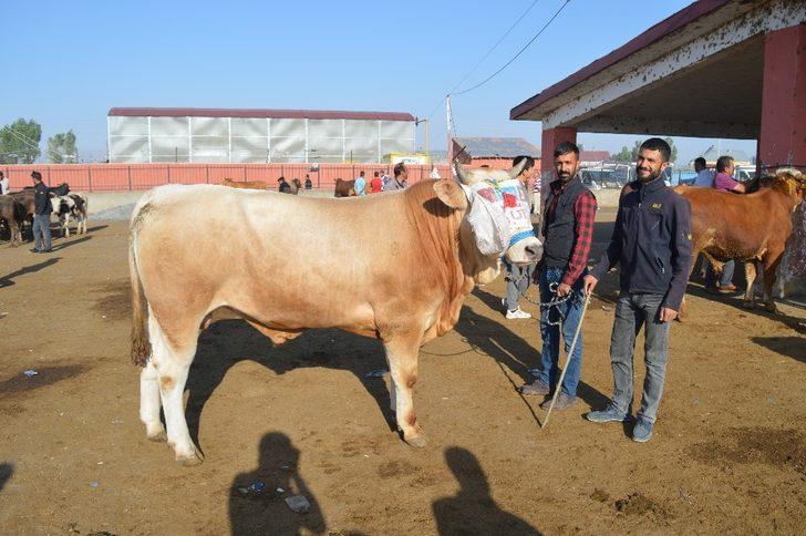 Kurban satıcıları dertli: "Bakan çok, alan yok" G1