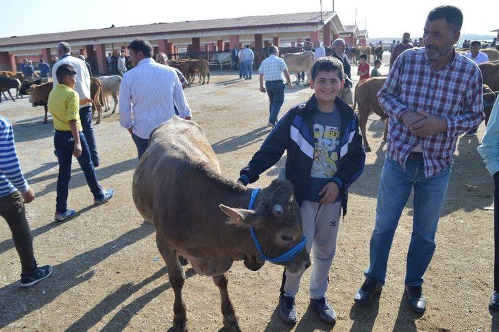 Kurban satıcıları dertli: "Bakan çok, alan yok" G5