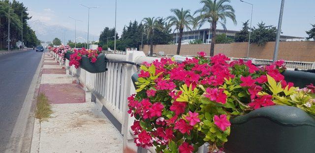 Antalya çiçeklerle donatıldı