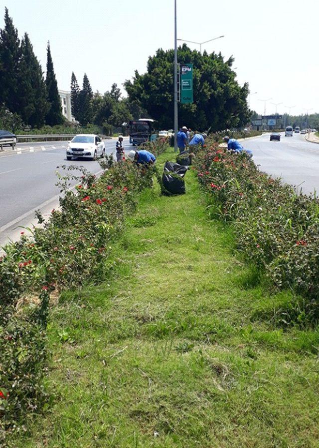 Antalya çiçeklerle donatıldı