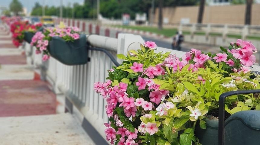 Antalya &ccedil;i&ccedil;eklerle donatıldı