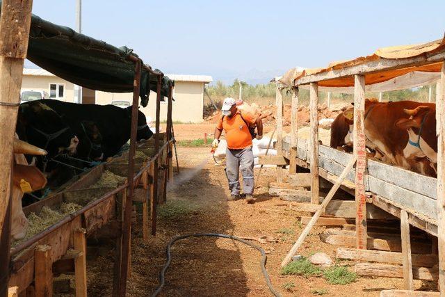 Antalya Büyükşehir’den bayram boyunca ücretsiz ulaşım hizmeti