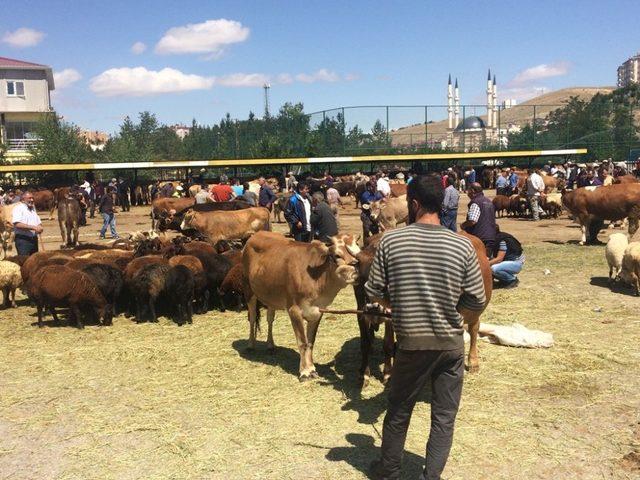 Bayburt’ta Kurban Bayramı heyecanı