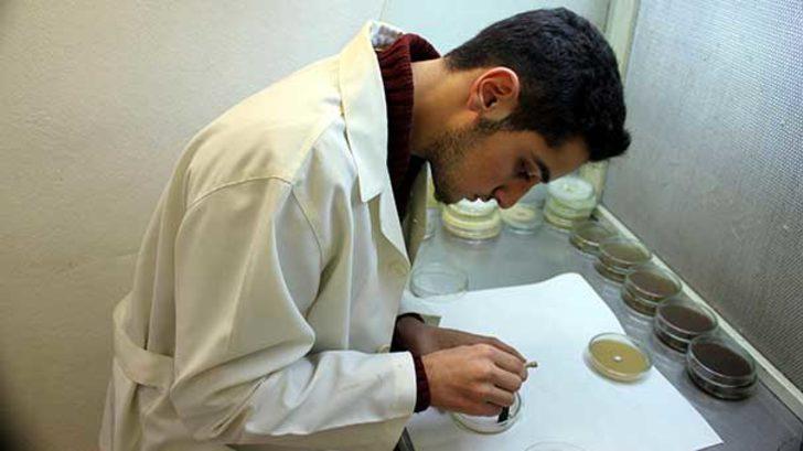 Lise öğrencisi atık sudan tıbbi mantar üretti G1