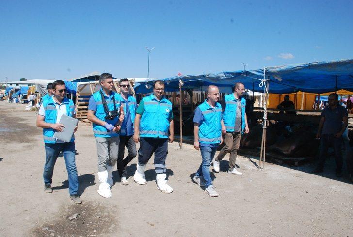 Kurban pazarında ‘ultrason’ timi iş başında G3