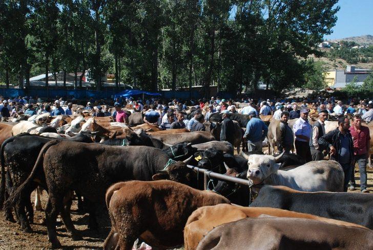 Kurban pazarında ‘ultrason’ timi iş başında G4