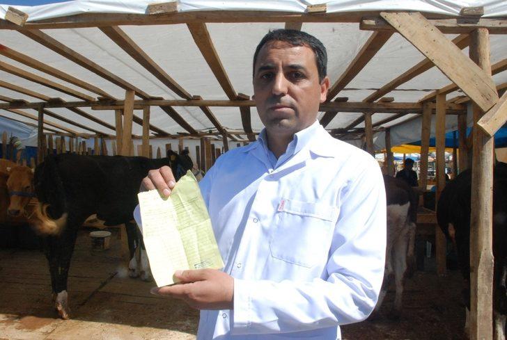 Kurban pazarında ‘ultrason’ timi iş başında G5