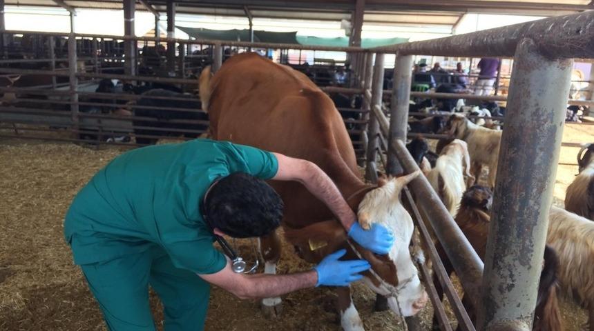 Adıyaman Belediyesinden bayramı hazırlığı