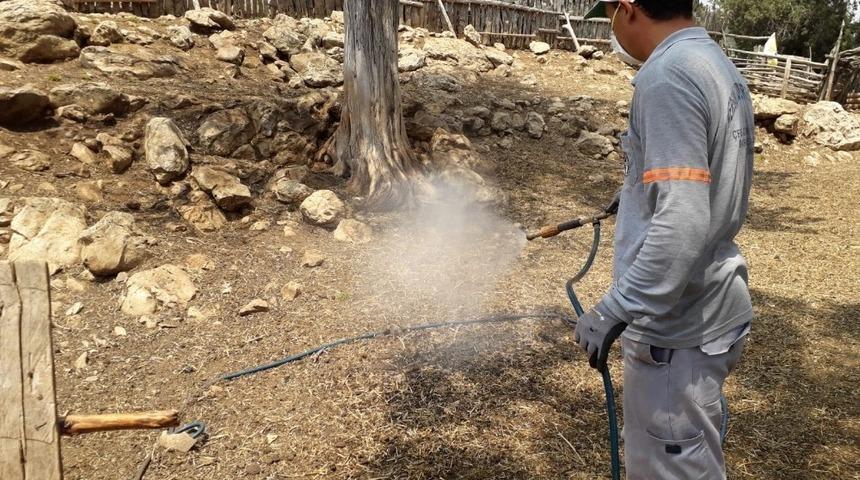 Tarsus ve &Ccedil;amlıyayla&rsquo;da haşere m&uuml;cadelesi s&uuml;r&uuml;yor