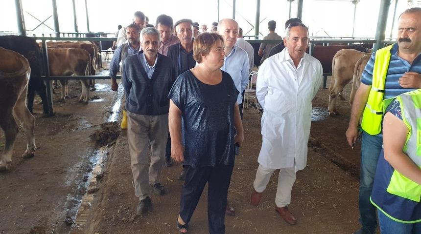 Kurbanlıklar hayvan pazarına kontrol edilerek alınıyor