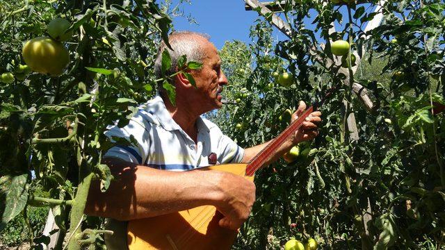 Verimin artması için bahçesinde ve kümesinde saz çalıyor