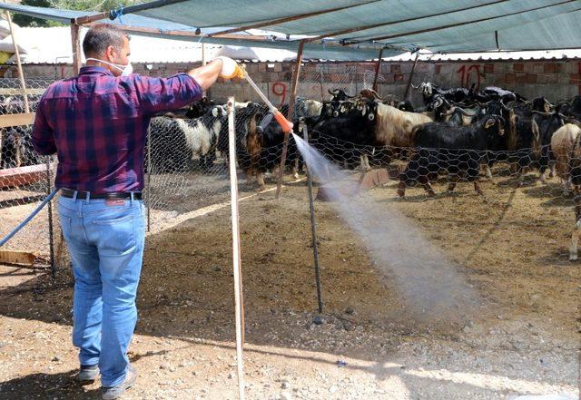 Zabıtadan kurban denetimi