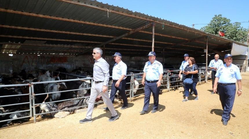 Zabıtadan kurban denetimi