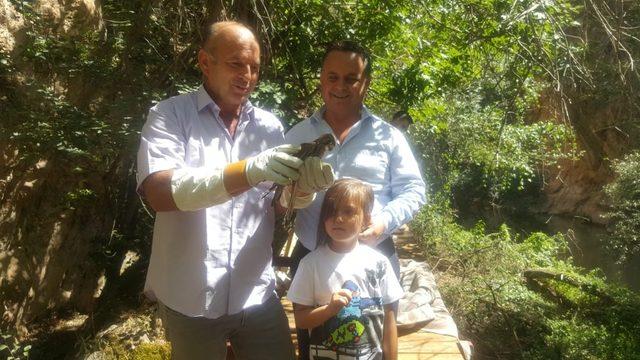 Belediye işçisi ölmek üzereyken kurtardığı Kerkenek kuşunu 25 günde iyileştirdi