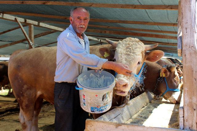 Kurbanlık satıcılarına sahte para kalemi dağıtıldı