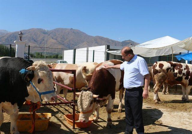 Erzincan’da kurbanlık hayvan satış yerleri denetlendi