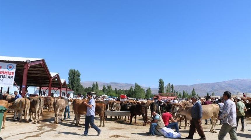 Erzincan&rsquo;da kurbanlık hayvan satış yerleri denetlendi