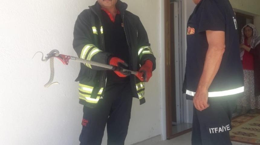 Erzincan’da eve giren yılanı itfaiye ekipleri çıkardı