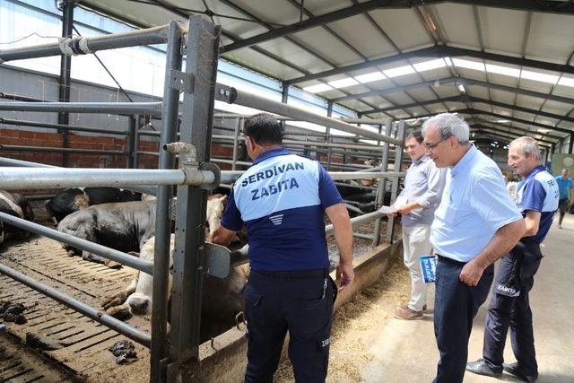 Serdivan Belediyesi bayram öncesi hazırlıklarını tamamladı