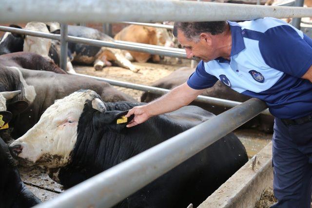 Serdivan Belediyesi bayram öncesi hazırlıklarını tamamladı