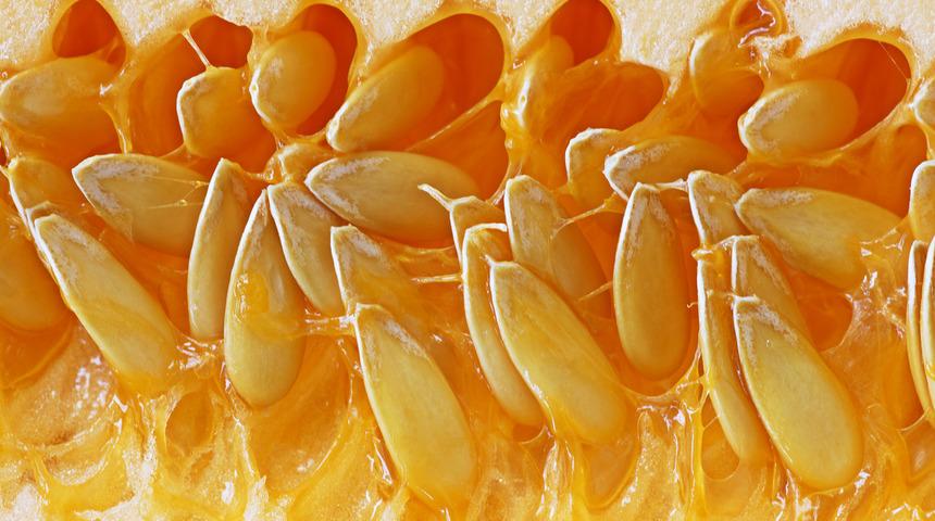 Tadı ballı sağlığa şifacı kavunun 7 faydası