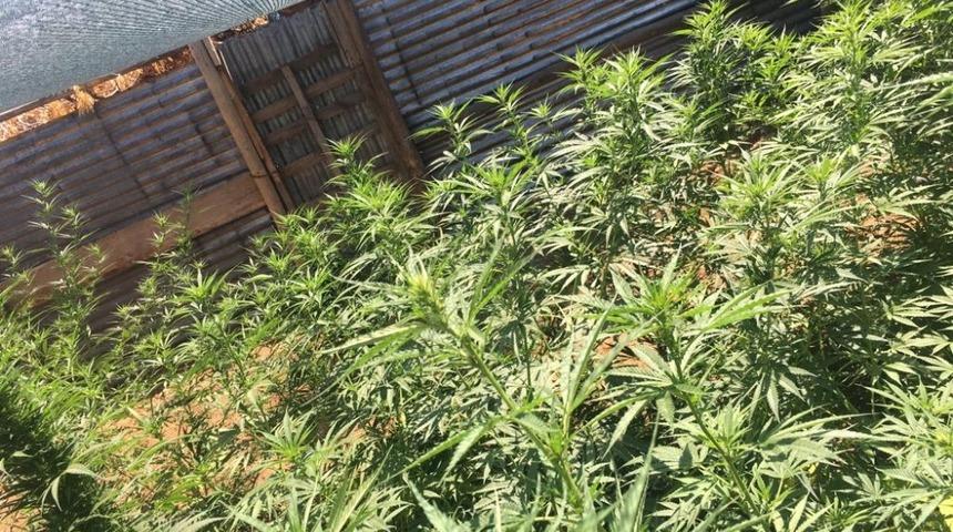 Tunceli&rsquo;de uyuşturucu operasyonu: 2 tutuklama