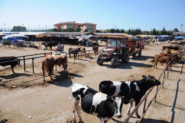 Hayvan pazarı artık daha kullanışlı