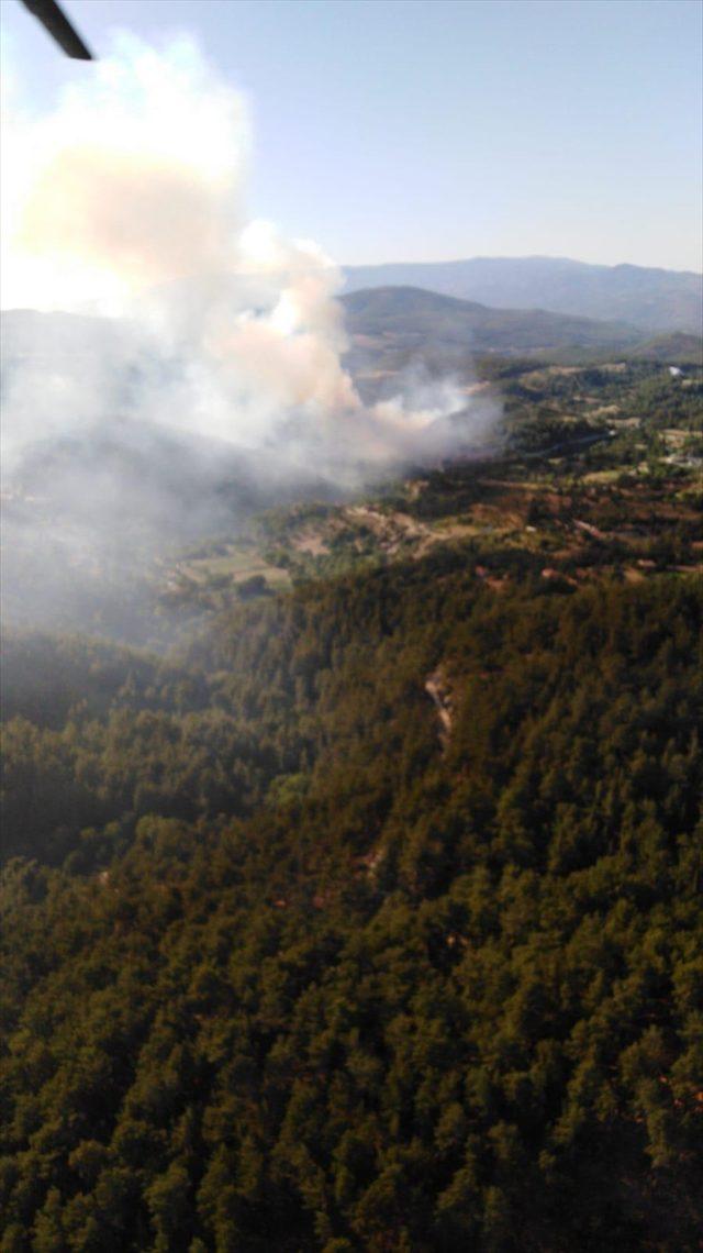 Muğla'da orman yangını