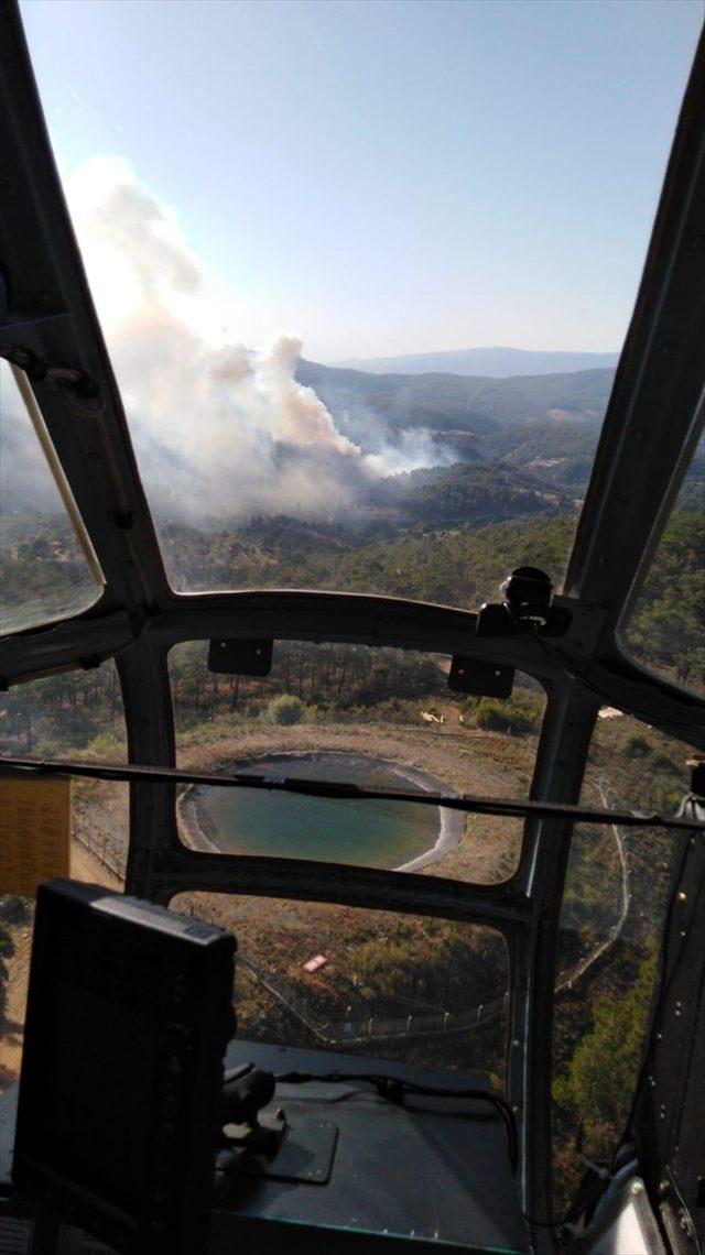 Muğla'da orman yangını