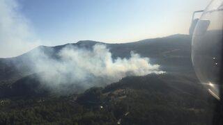 GÜNCELLEME - Muğla'da orman yangını