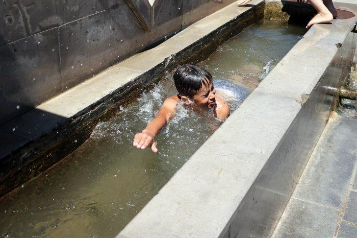 Çeşme oluğunda yüzüp duvar üzerinde güneşleniyorlar G1