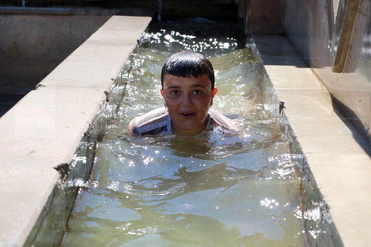 Çeşme oluğunda yüzüp duvar üzerinde güneşleniyorlar G2