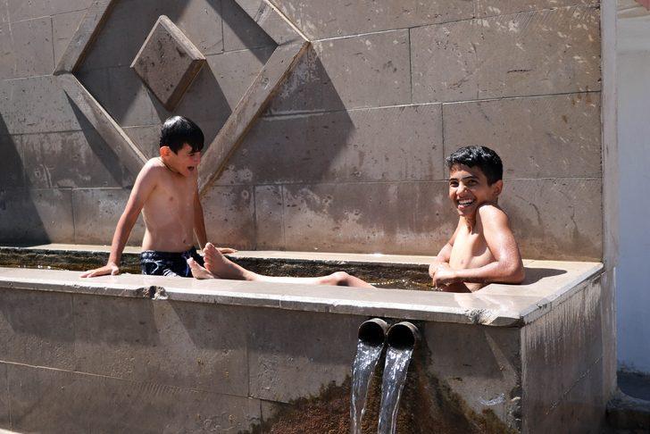 Çeşme oluğunda yüzüp duvar üzerinde güneşleniyorlar G5