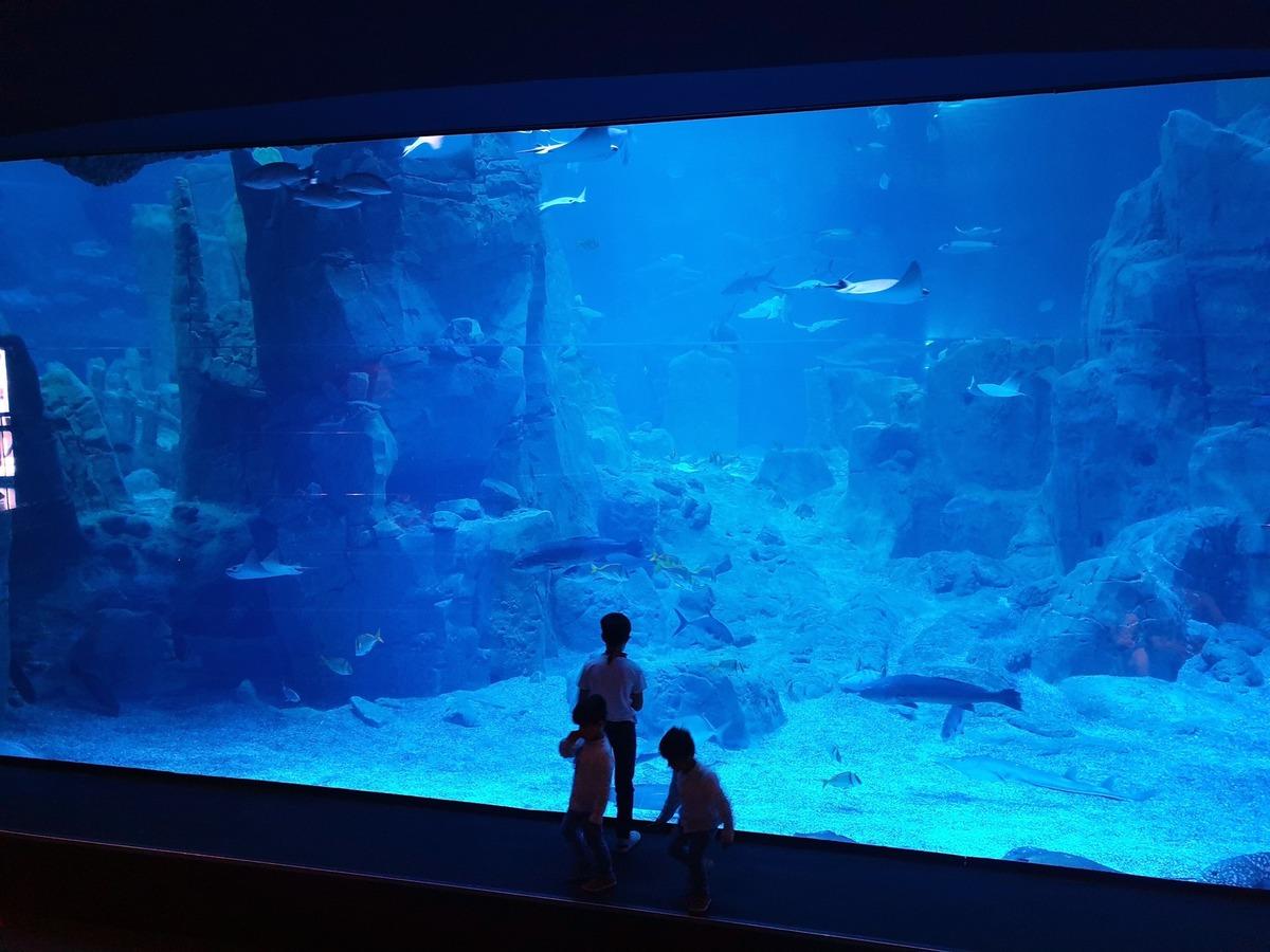  Orta Doğulu turistlerin yeni g&ouml;zdesi akvaryumlar