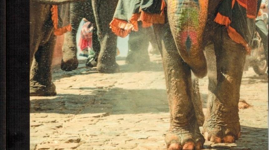 AD&Uuml; &Ouml;ğretim &Uuml;yesinin uluslararası kitap b&ouml;l&uuml;m&uuml; yayımlandı