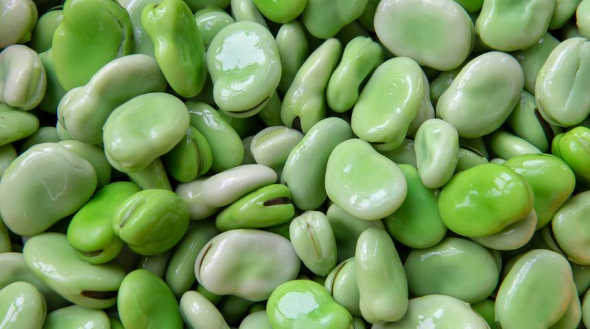 Yaz güzeli baklanın sağlığa olan 8 faydası